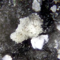 Uklonskovite