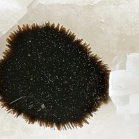 Rankachite
