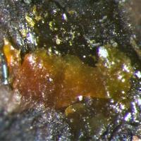 Calciouranoite, Uraninite