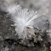 Rauenthalite, Gypsum