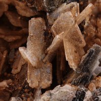 Sabinaite, Aegirine, Serandite