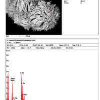 Uranospinite