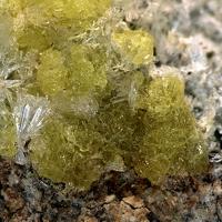 Adolfpateraite