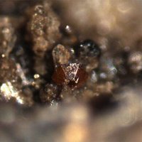 Rambergite