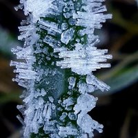 Ice