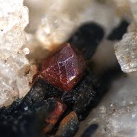 Dalyite