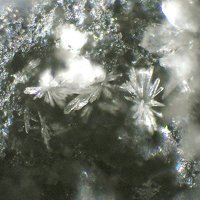 Fassinaite