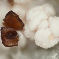 Canutite