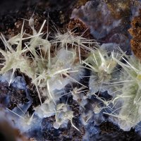 Rabbittite