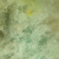 Ransomite
