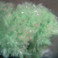 Ulrichite
