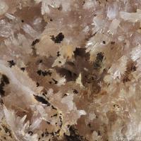 Calcioancylite-(Ce)