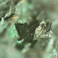Lammerite