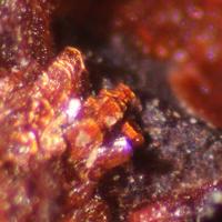 Barnesite