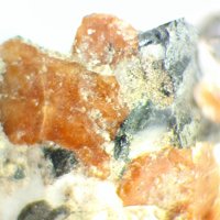 Caryopilite