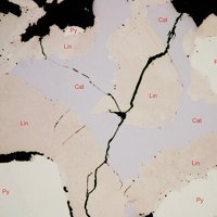 Cattierite, Linnaeite, Pyrite