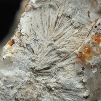 Macdonaldite
