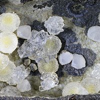 Faujasite-Ca, Chabazite-Ca, Phillipsite Subgroup