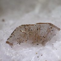Iimoriite-(Y)