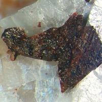 Gamagarite