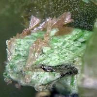 Adanite
