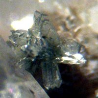 Cascandite