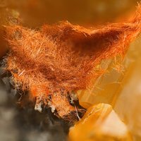 Daliranite