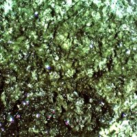 Tangeite