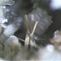 Carbocernaite
