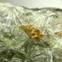 Cacoxenite, Wavellite, Limestone