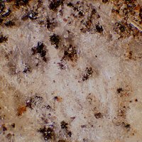 Kaatialaite, Claudetite, Arsenic