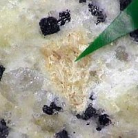 Gagarinite-(Ce)