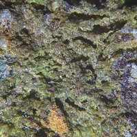 Bayldonite, Osarizawaite