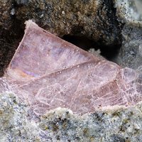 Lanthanite-(Nd)