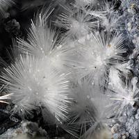 Canavesite