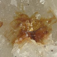Nalivkinite