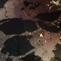 Vaesite, Cattierite, Uraninite