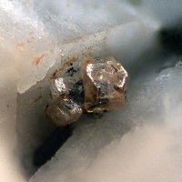 Dalyite