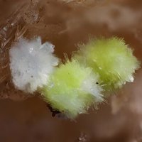 Carlhintzeite, Creedite
