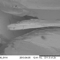Dalnegroite, Realgar