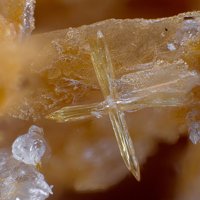 Magnanelliite