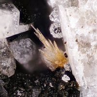 Madeiraite