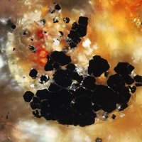 Vaesite, Muscovite, Goethite