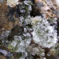 Talmessite, Cobaltaustinite