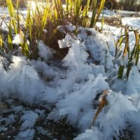 Ice