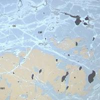 Calvertite, Chalcocite, Renierite