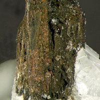 Rasvumite
