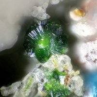 Favreauite