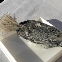 Balangeroite