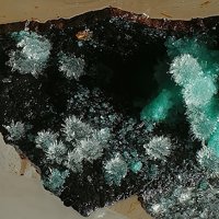 Carlhintzeite